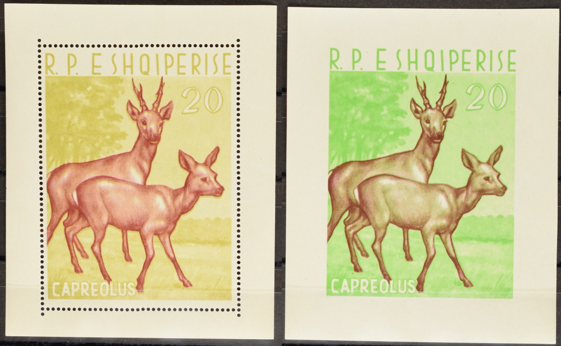 ALBANIA PAIR OF SOUVENIR SHEETS DEERS MNH / <i>ALBANIEN, SELTENES BLOCKPAAR HIRSCH UND REH 1962 POSTFRISCH!</i>